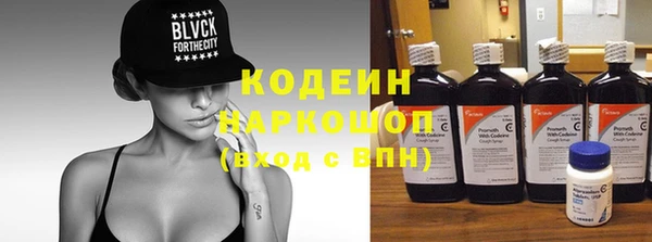 шишки Богородицк
