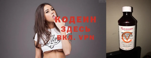 шишки Богородицк