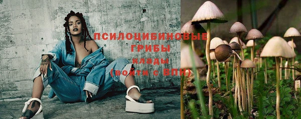 шишки Богородицк