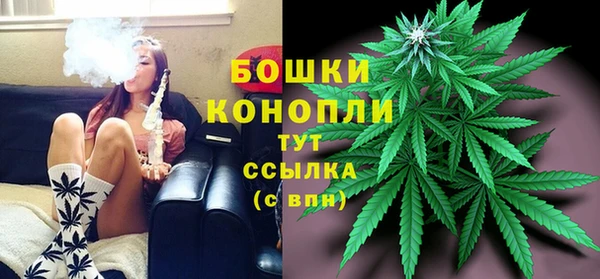 шишки Богородицк