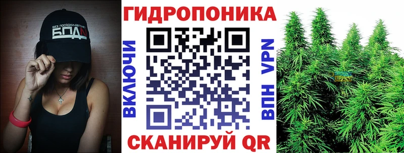 Бошки Шишки LSD WEED  blacksprut   Ессентукская  купить наркотики сайты 